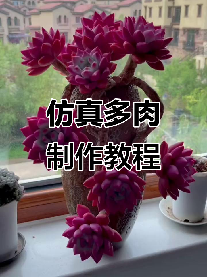 奥普琳娜仿真多肉教程,轻松做出可爱粘土植物