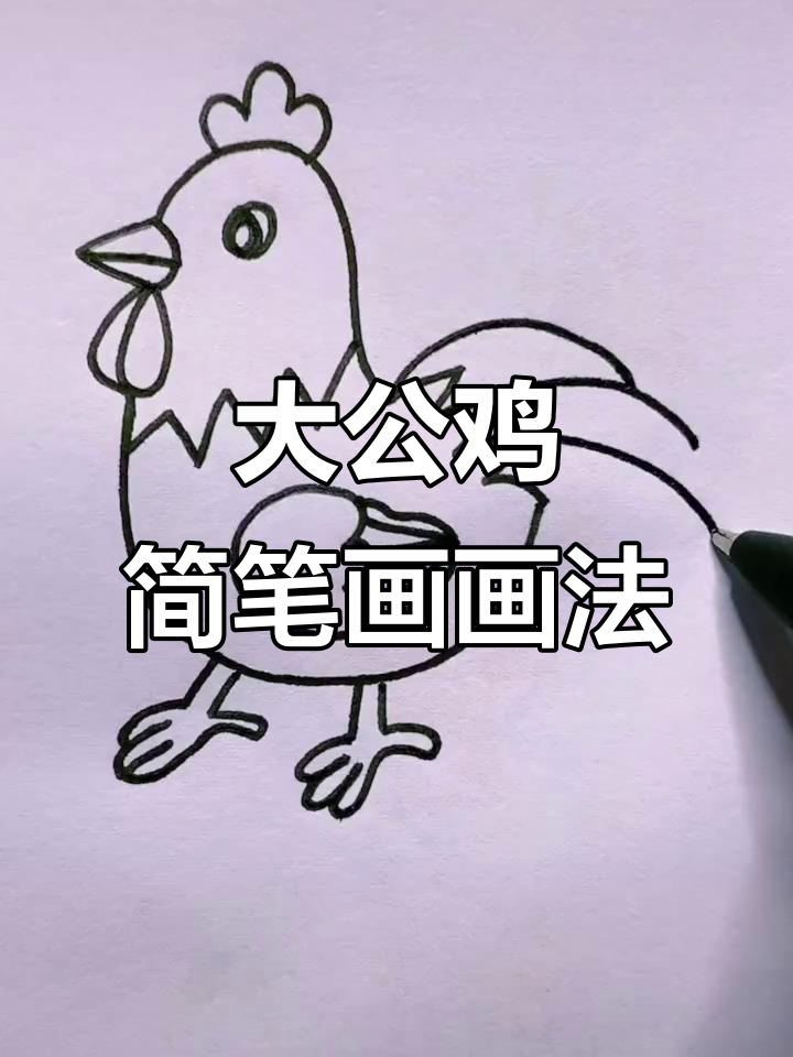 简单步骤教你画可爱大公鸡,儿童必学小动物简笔画