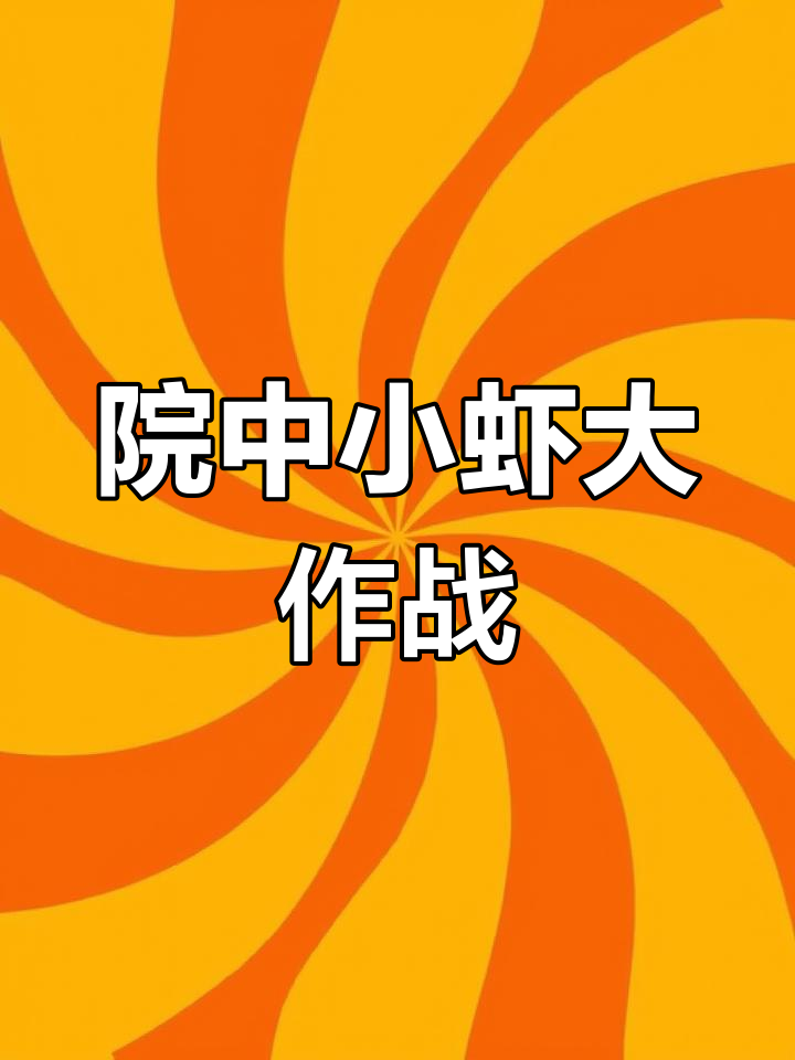 小虾缸里的趣事:透明小虾与千年老虾的追逐战