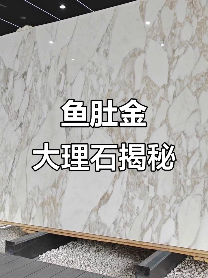 鱼肚金大理石:挑战1000款中的独特魅力