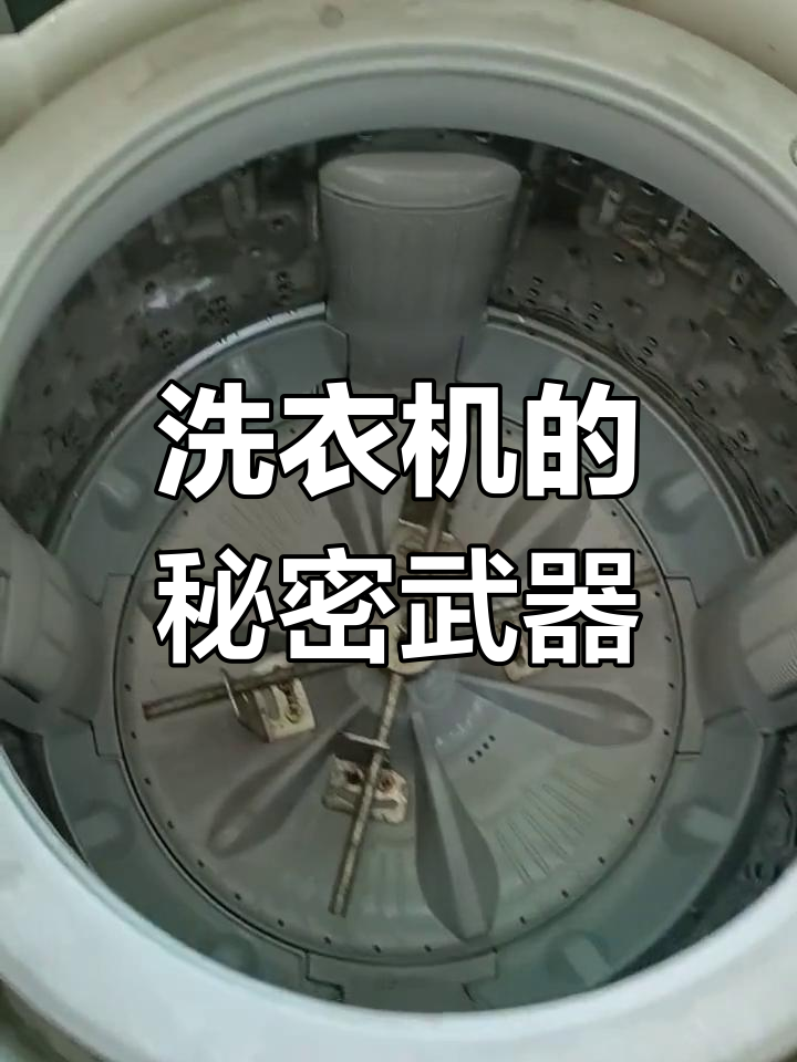 小天鹅洗衣机深度清洗,拆开一看吓一跳