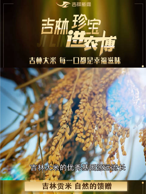 大米是吉林省一张雪亮的名片,顶着贡米旗号的吉林大米到底有什么来头,我们一起到历史中寻找答案