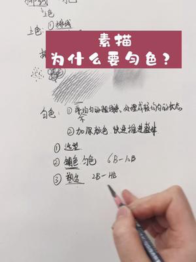 保姆级素描白菜教程(下)(2)