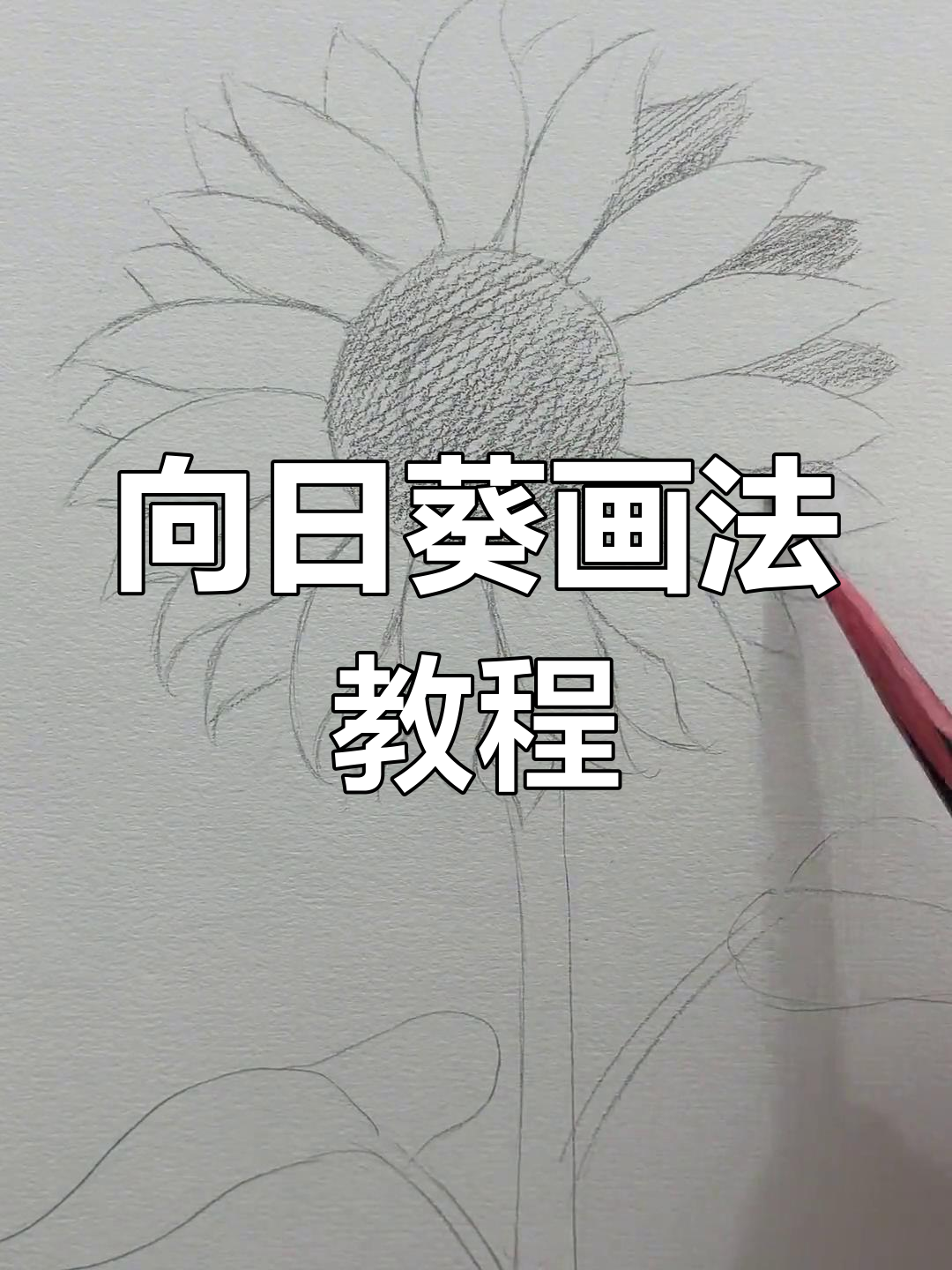 简单步骤教你画出可爱向日葵,轻松上手!