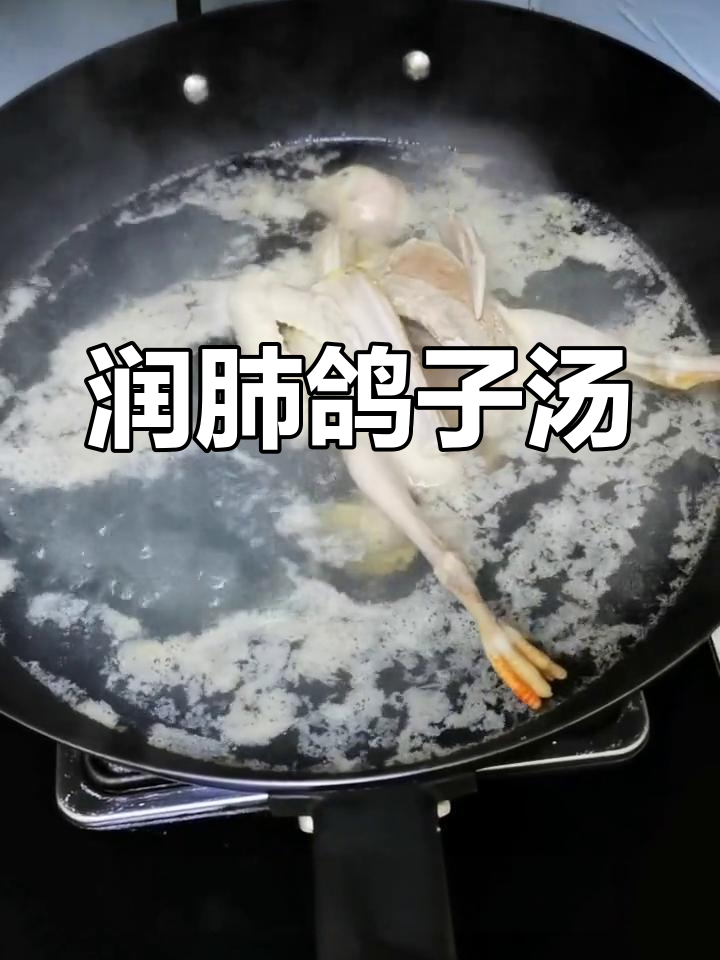 家里人都喉咙不适,赶紧炖锅鸽子汤润肺