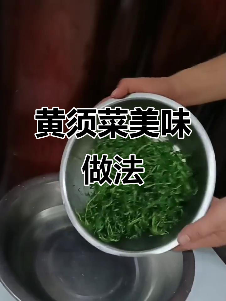 新鲜黄须菜凉拌蒸包，家乡味让你停不下来