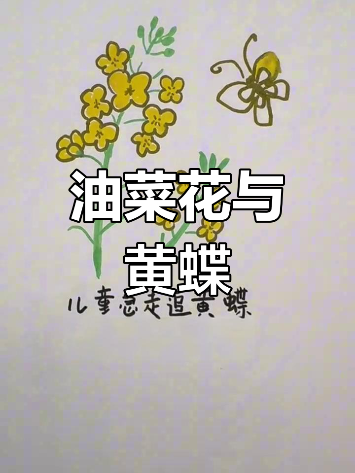 儿童简笔画:油菜花与蝴蝶的春天故事
