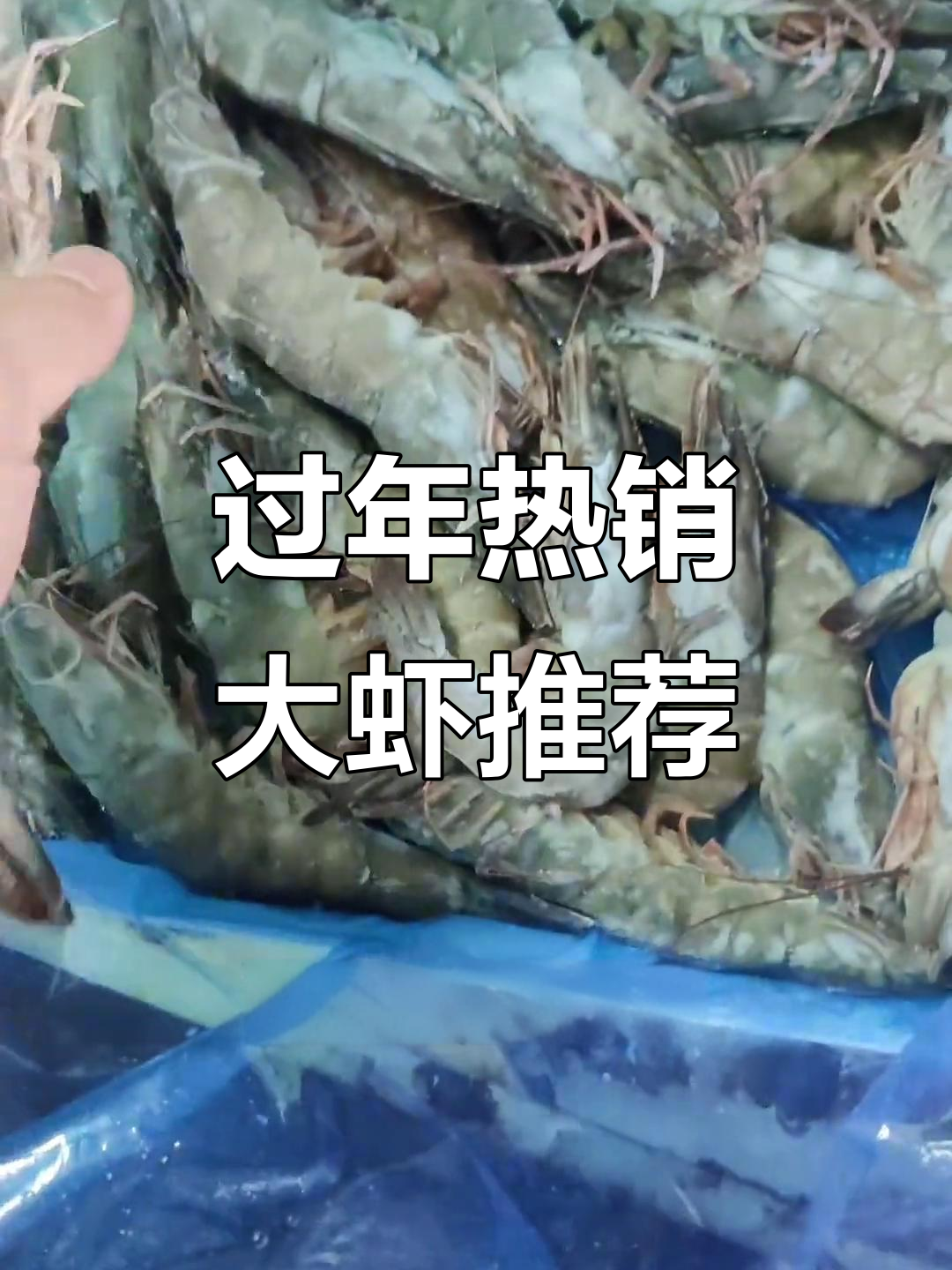 年底虾类市场分析：哪些品种最受欢迎？