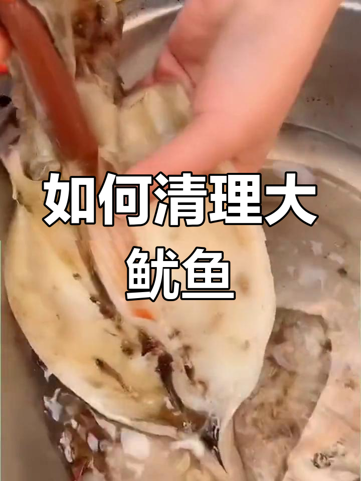 鱿鱼牙齿揭秘