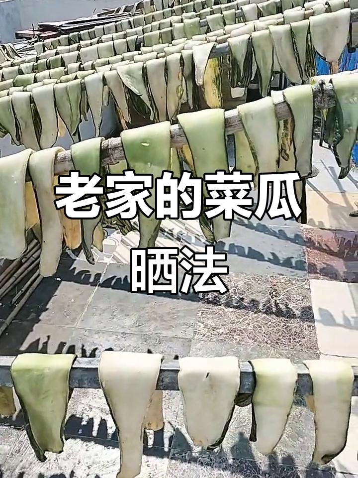 老家晒菜瓜,酱包子和姜瓜的独特制作工艺