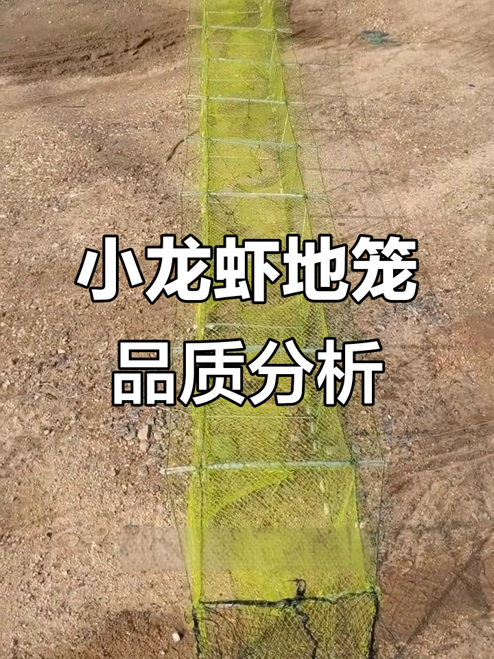 江苏小龙虾地笼质量大揭秘:如何判断不同档次的捕捞工具