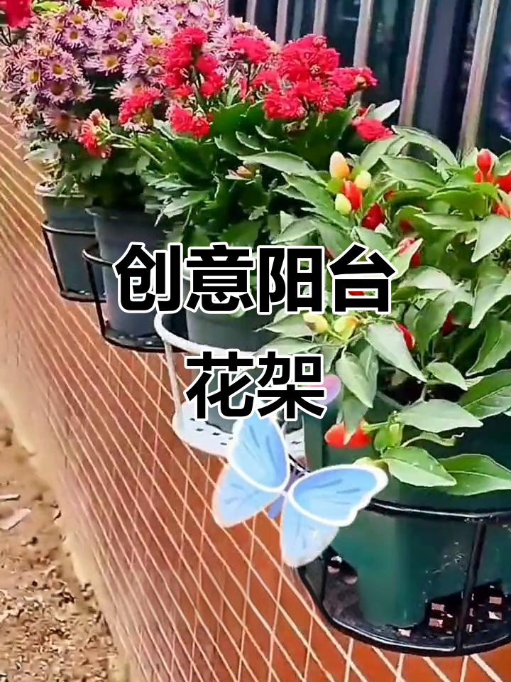 阳台花架设计灵感,打造理想家居