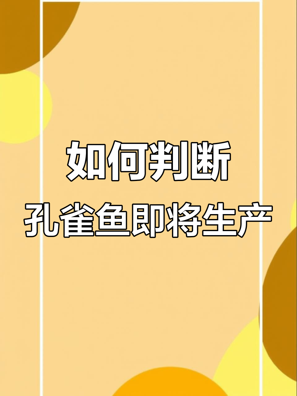 母鱼快生小鱼的信号，新手必看！