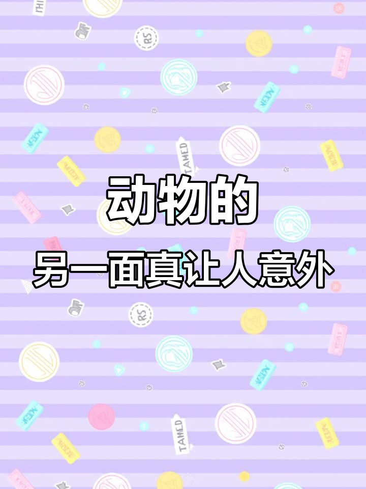 这些动物走路姿势太出人意料,天鹅、北极熊等都有惊喜