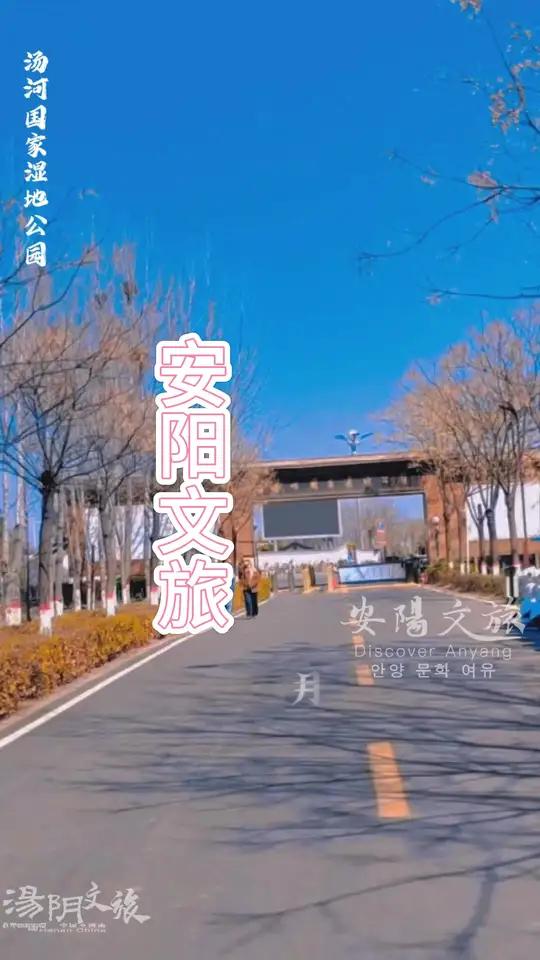 五一假期来汤阴湿地公园赏花游玩吧