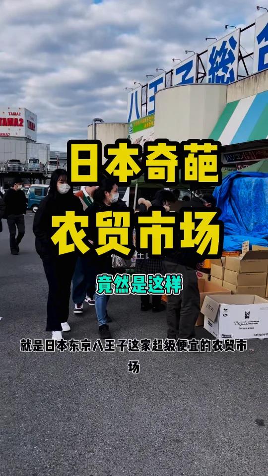 日本的农贸市场,竟然是这样…….