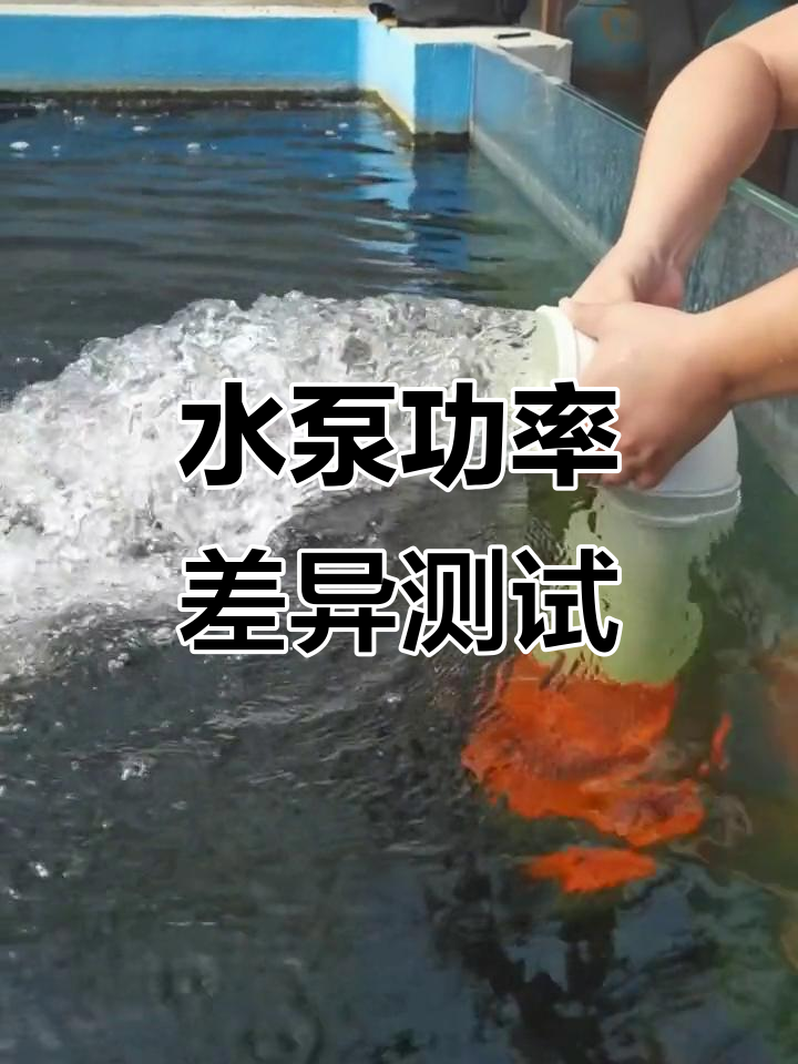 鱼池水泵功率实测:定频与变频差距大,误差分析