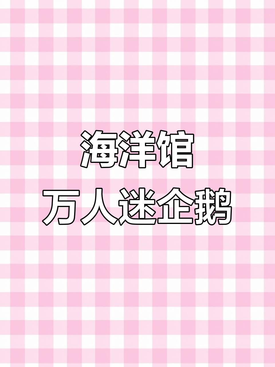 海洋馆的灰企鹅明星,优雅灵动吸引无数目光