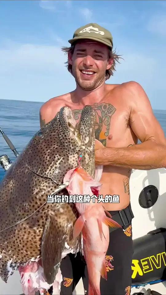 鲨鱼不愧是全世界最危险的鱼