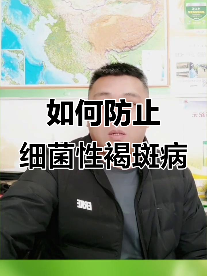 苗床细菌性褐斑病防治技巧,避免损失