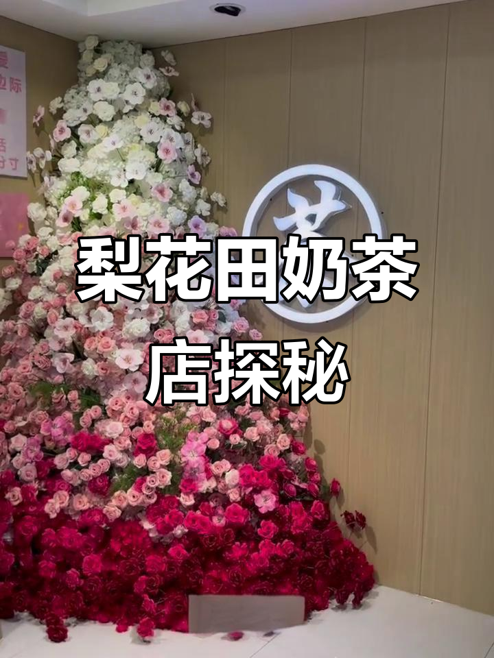 云冈区梨花田奶茶店,超美花墙等你来拍!