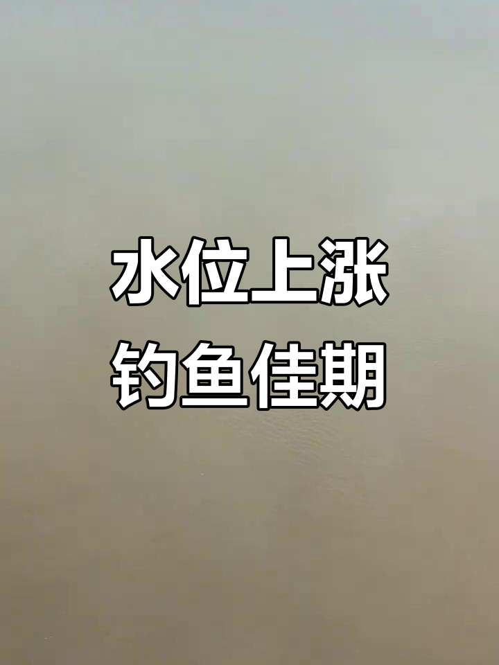 2025年6月19日,贾鲁河水位上涨钓鱼好时机