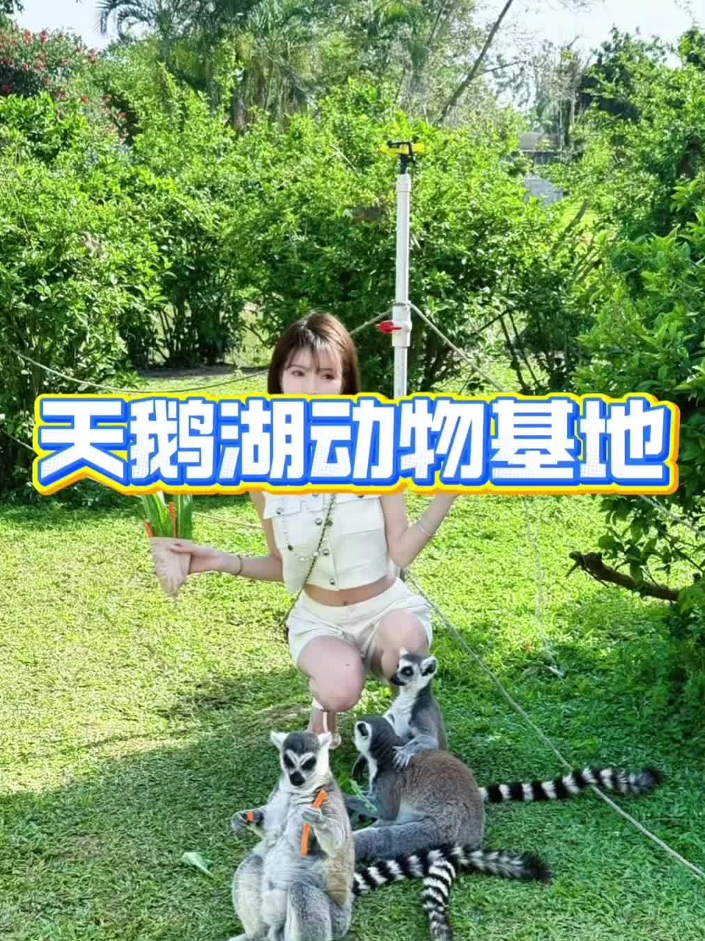 小朋友的欢乐天堂!就来天鹅湖动物基地吧!天鹅湖动物基地 亲子游玩好去处 附近团购 周末去哪