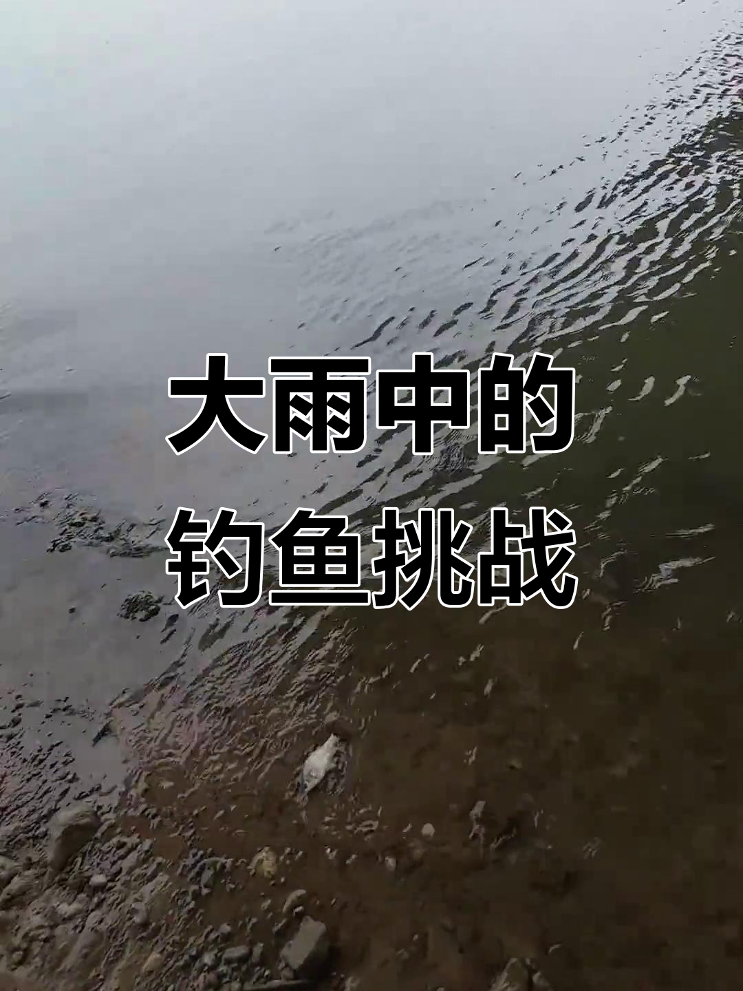 五一钓鱼计划被大雨打乱,派河大桥钓鲫体验