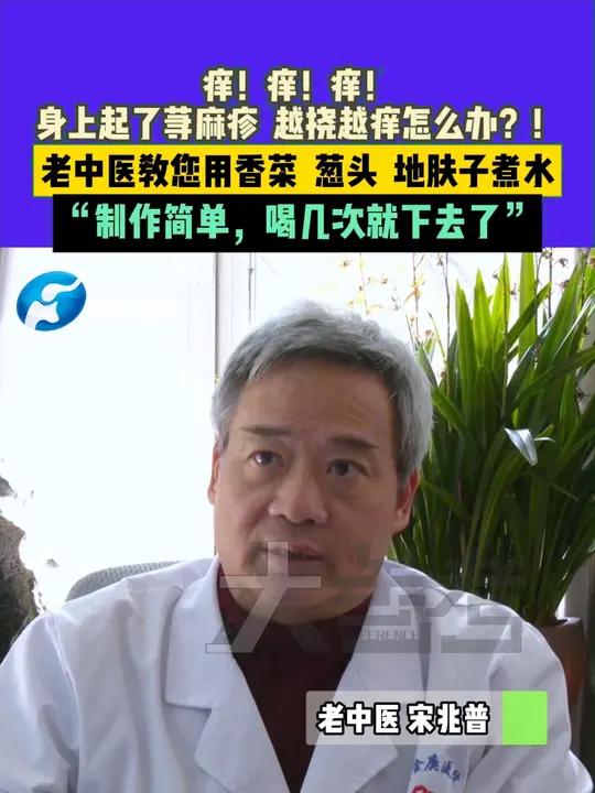 痒!痒!痒!身上起了荨麻疹 越挠越痒怎么办?!老中医教您用香菜 葱头 地肤子煮水,“制作简