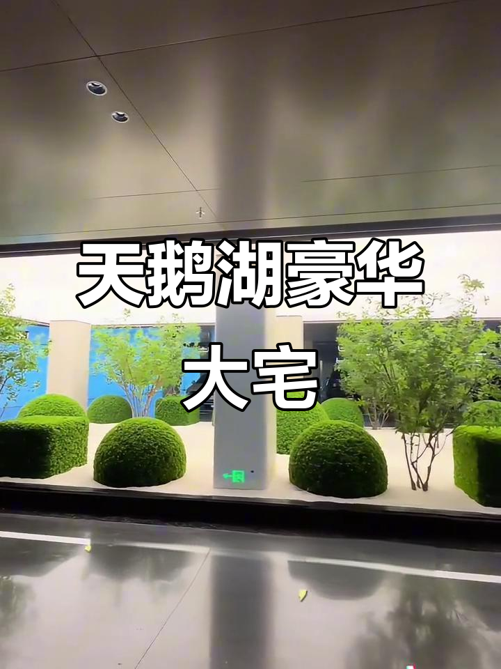 合肥天鹅湖畔的奢华洋房，车库、花园一应俱全