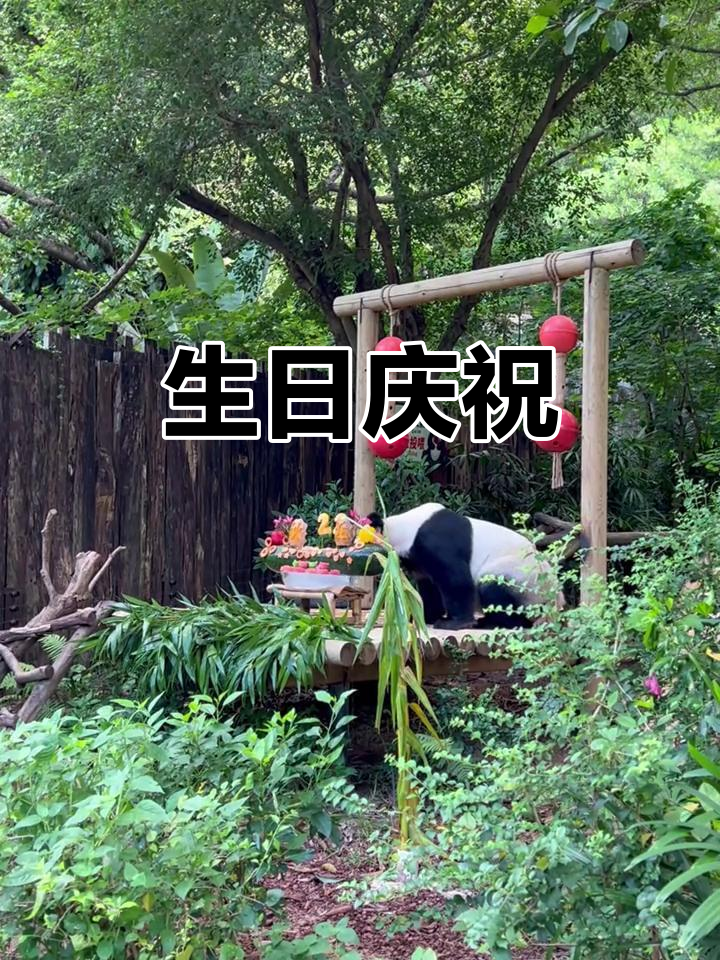 秋浜22岁生日,健康蛋糕与水果蔬菜让快乐满满!