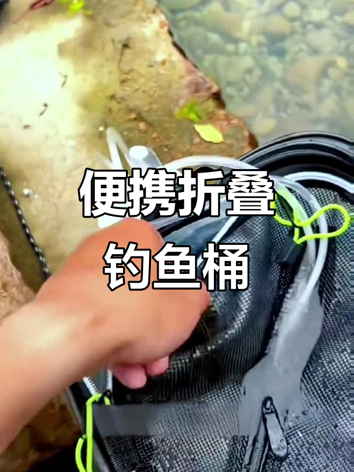 溪流钓获美丽小鱼,折叠鱼桶轻松携带