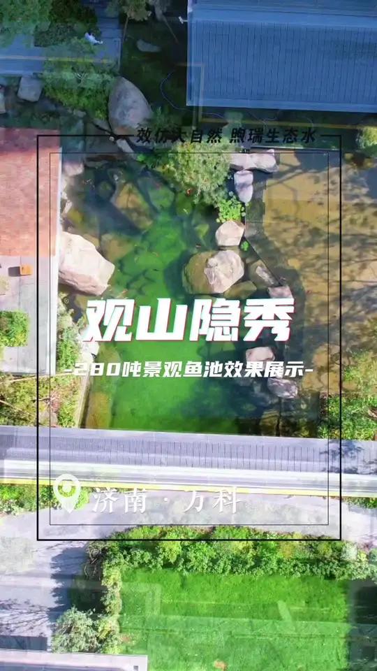 山水园林自有其独特韵味,而景观鱼池,绝对是其中的点睛之笔。在北方,山水园林自有其独特韵味,