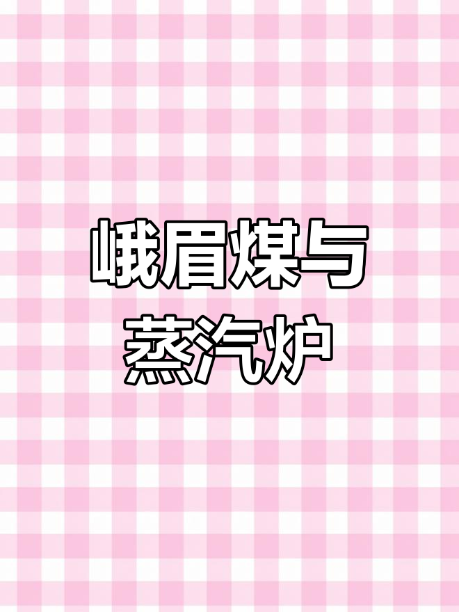 峨眉与神木煤对比,蒸汽锅炉使用心得