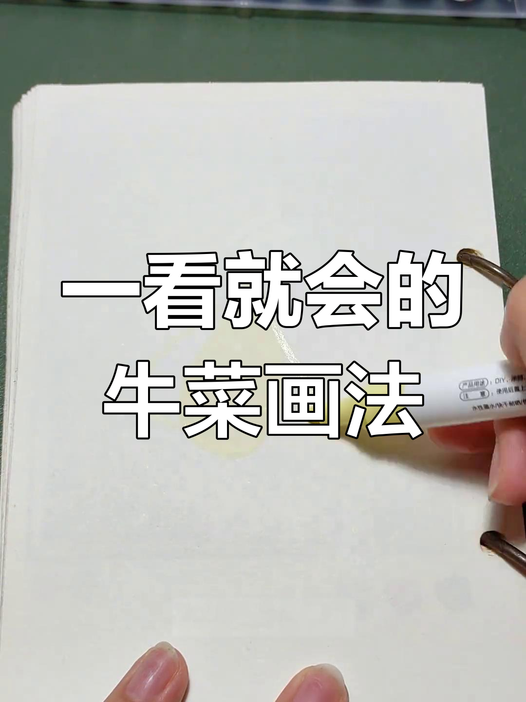 简单植物简笔画教程:牛菜绘制技巧