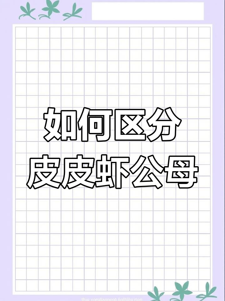皮皮虾公母怎么分?一看就懂!