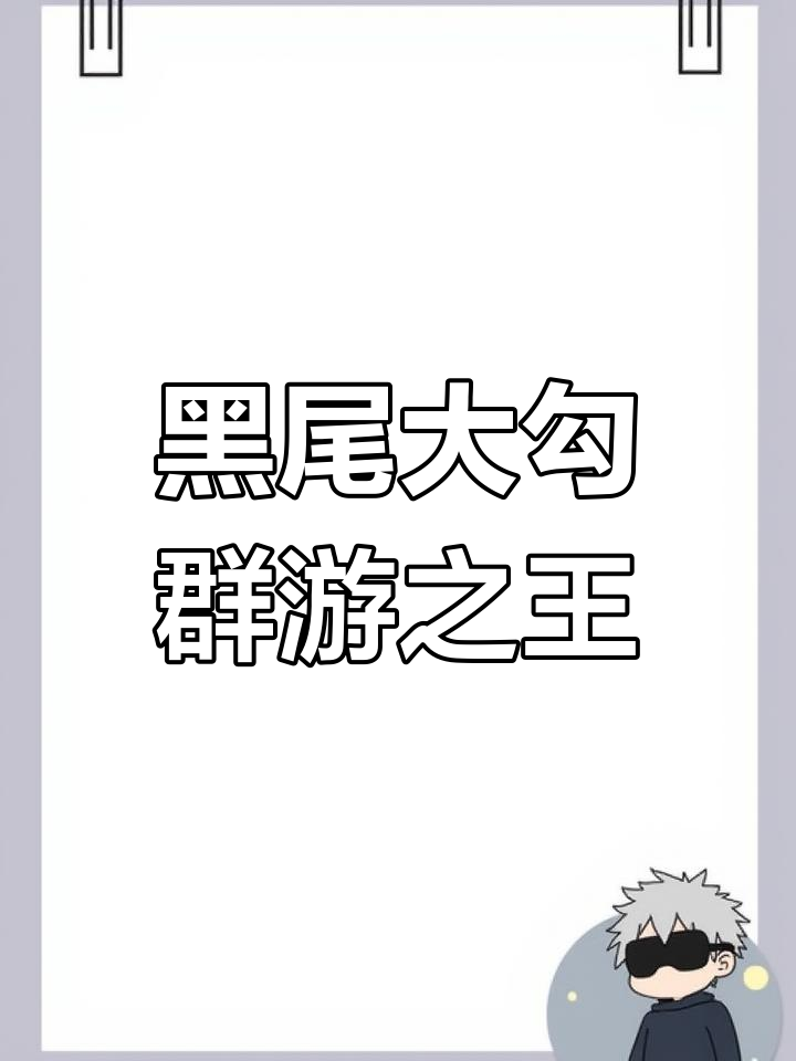 黑尾大勾:便宜又好养的群游观赏鱼,互动性超强