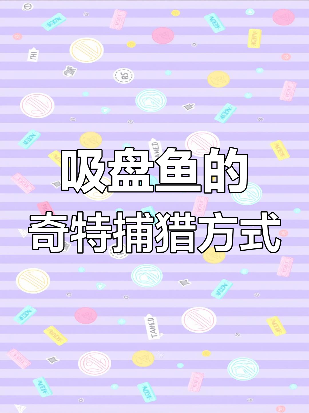吸盘鱼懒到极致,搭顺风车捕食魔鬼鱼