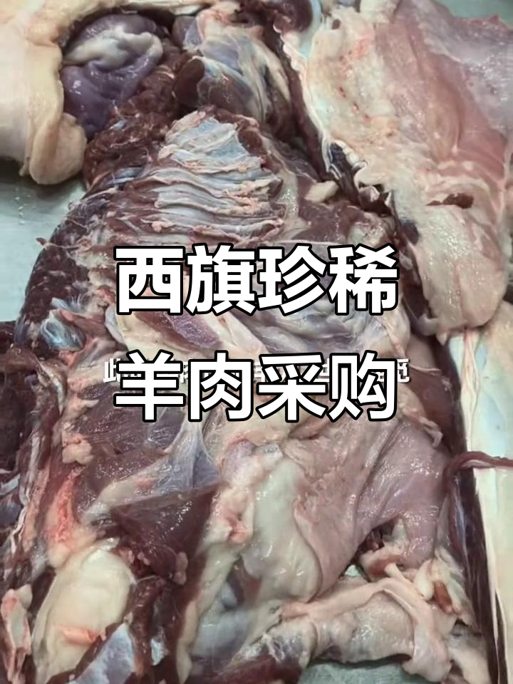 探秘西旗羊肉,品质非凡的绝品美味