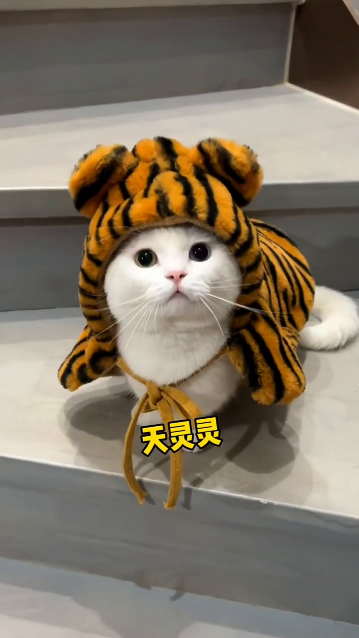 可以给我买个草莓味的冰淇淋吗?