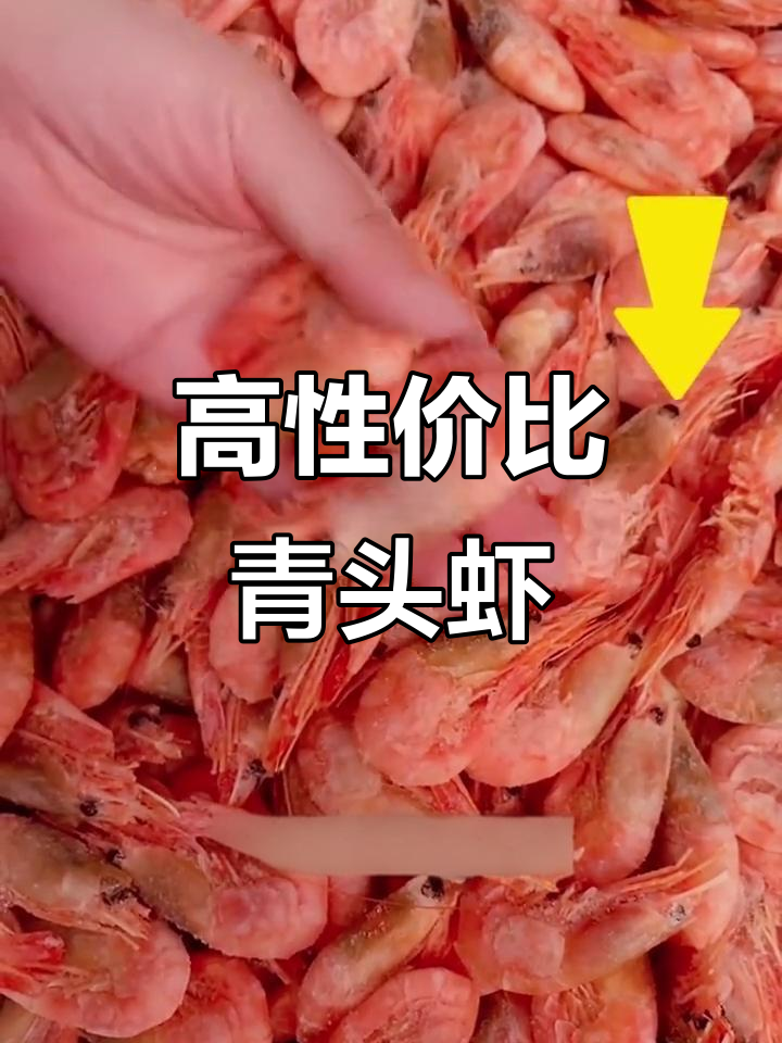 30年吃北极虾,性价比最高的青头虾推荐!