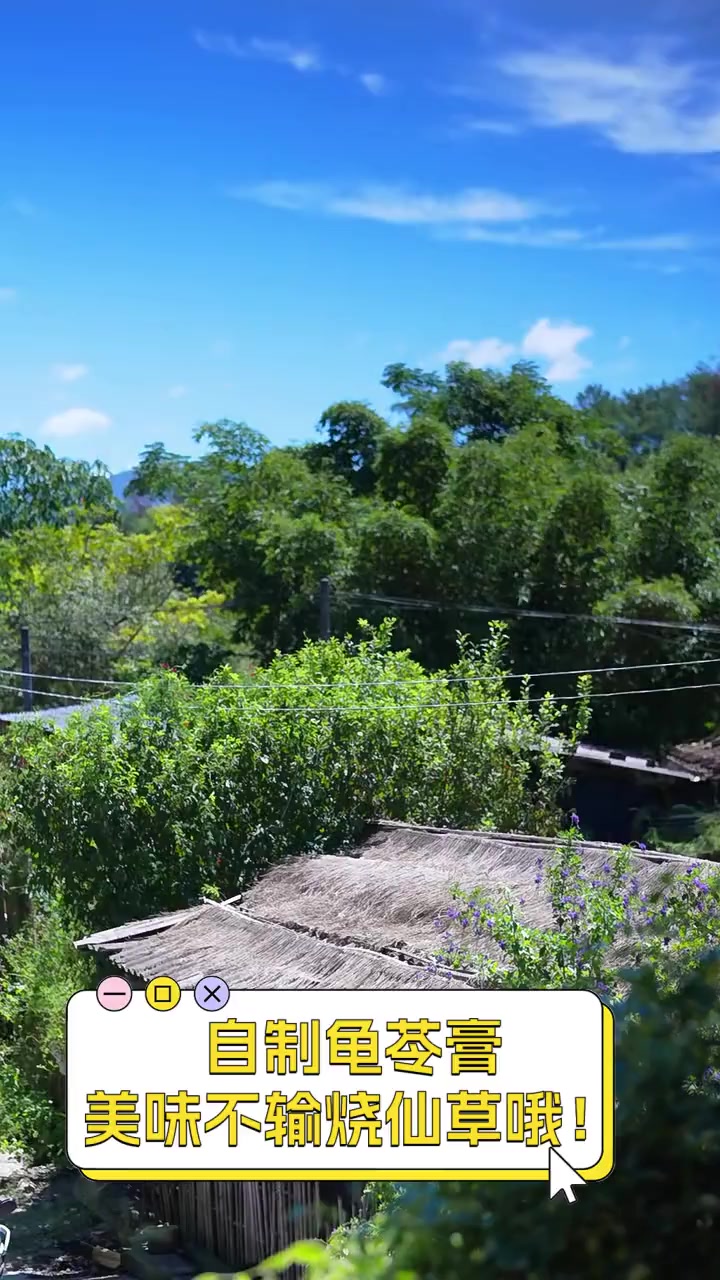 自制龟苓膏,美味不输烧仙草哦!