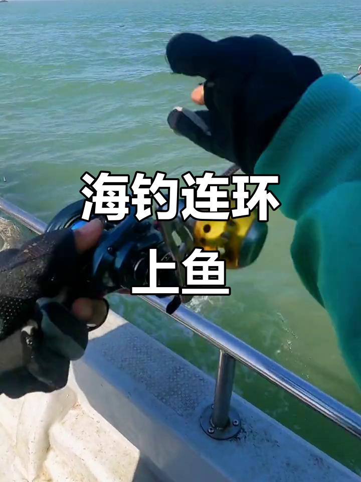 潮水涌动,海钓鲈鱼大丰收!