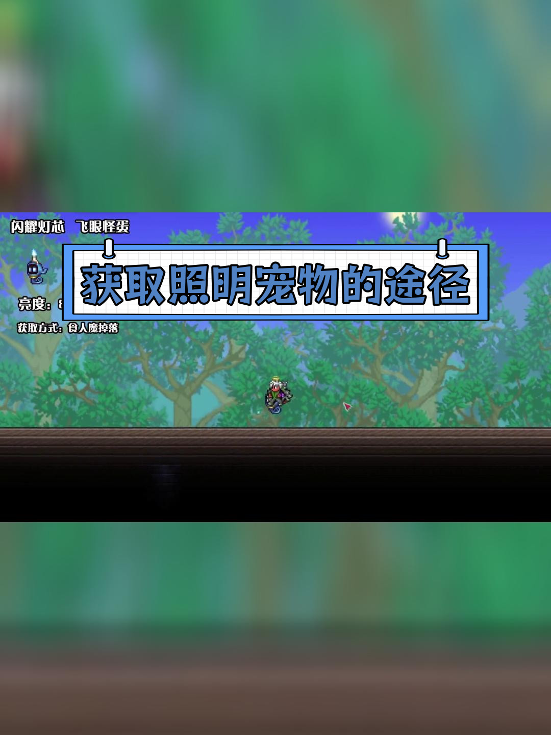 泰拉瑞亚照明宠物种类与获取方法