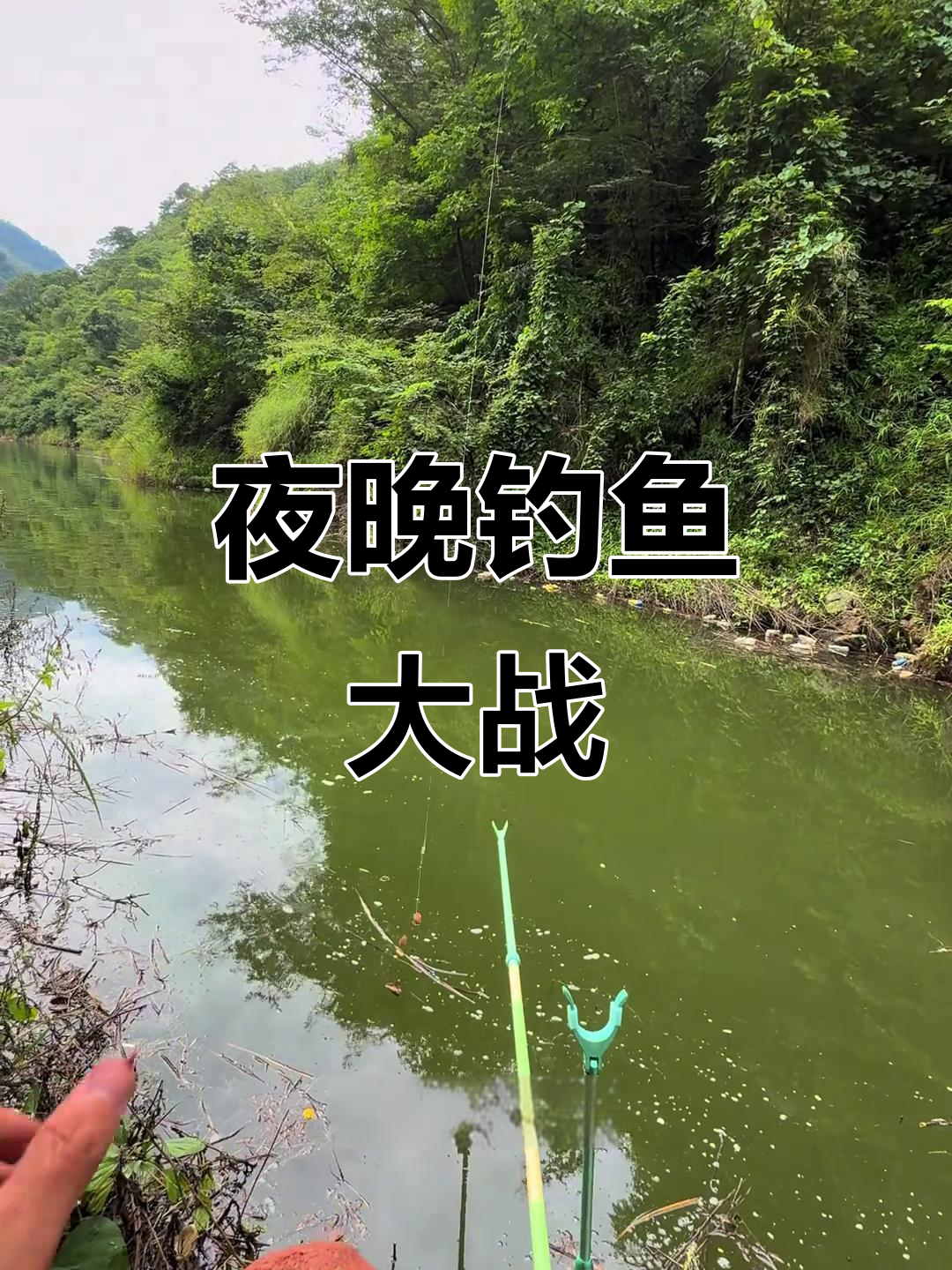 夜钓复仇,大鱼连连上钩!