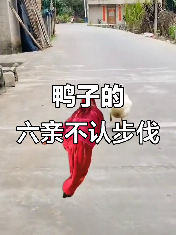 鸭子走路嚣张,正月初九长长久久