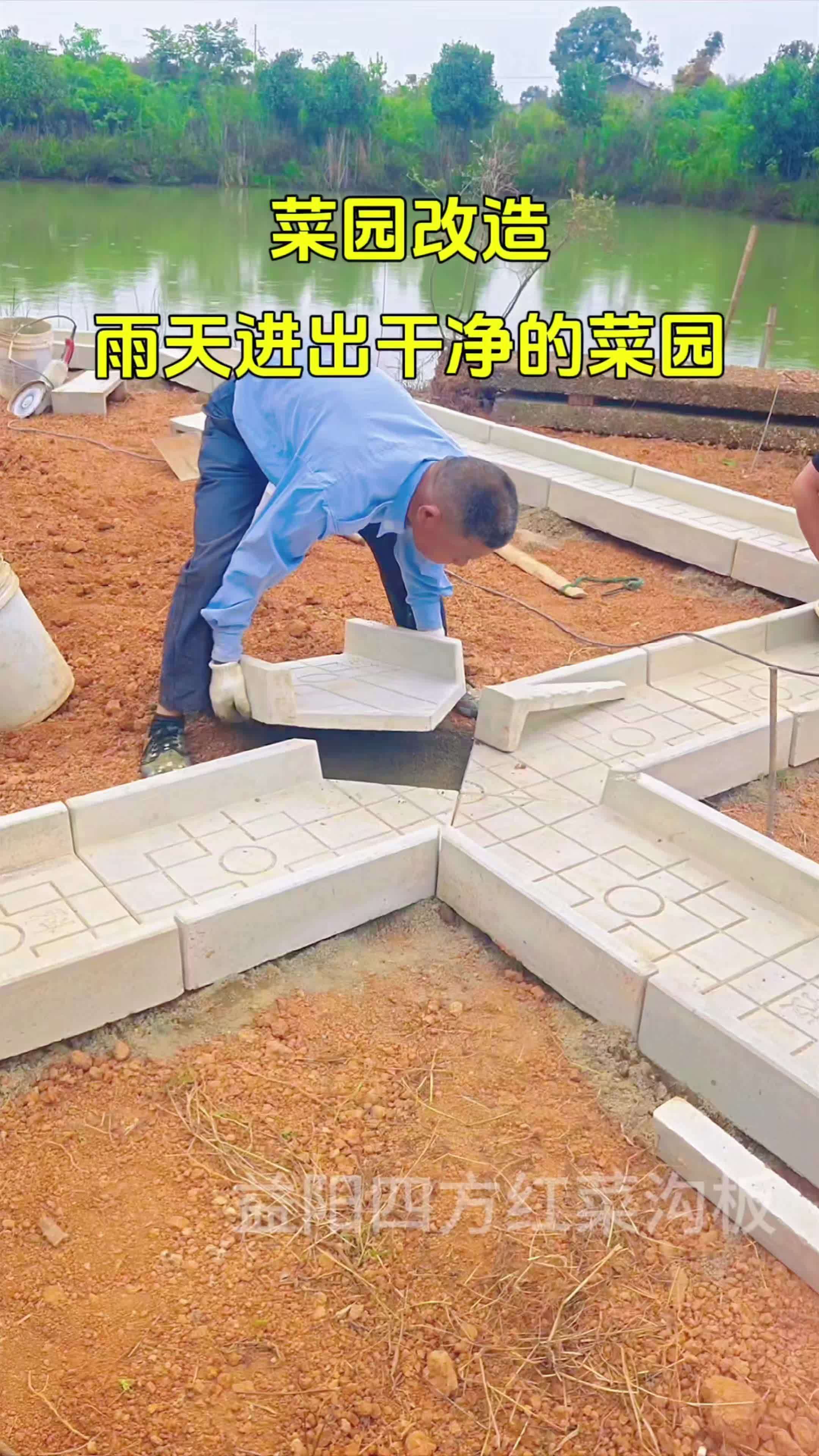 菜沟板 农村菜园设计 菜园 小院改造 我的田园生活