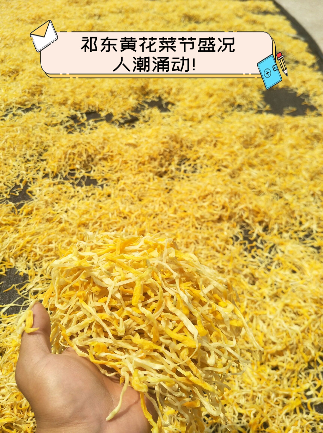祁东黄花菜节盛况，人潮涌动！