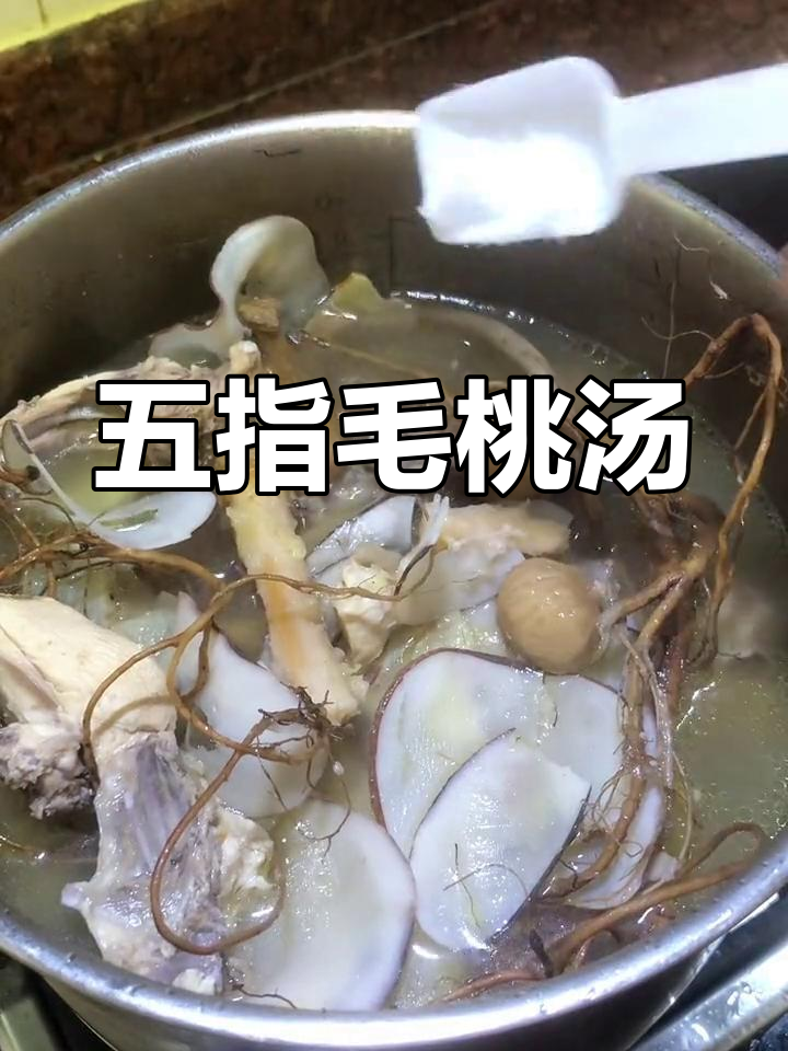 五指毛桃汤，健脾祛湿，香气扑鼻，适合各年龄段饮用