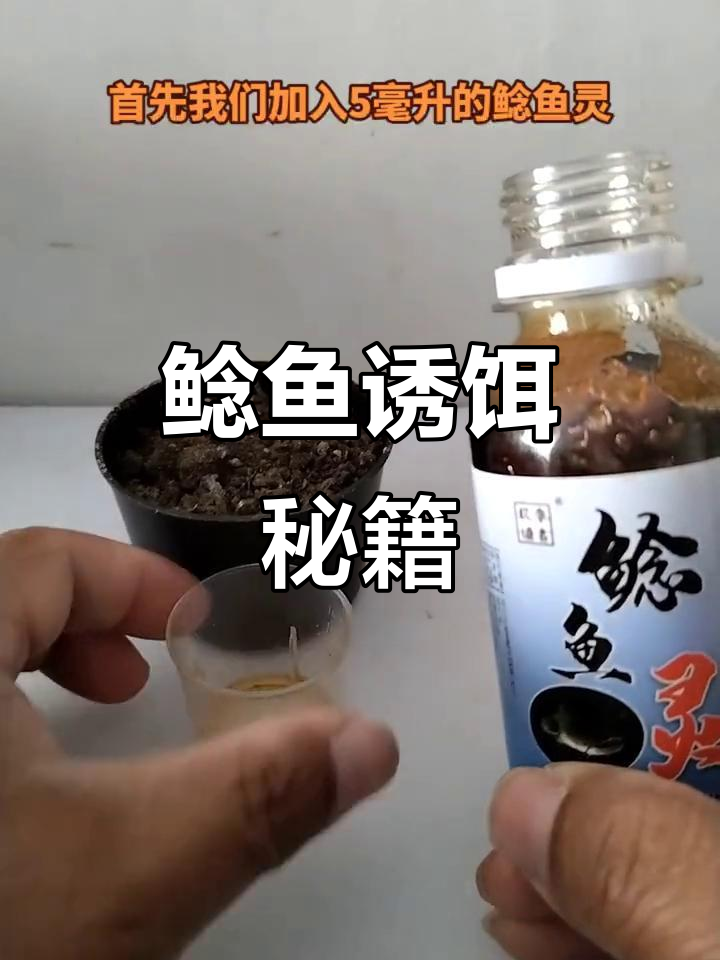 将蚯蚓与土混合,挂钩后鲶鱼争相吞食